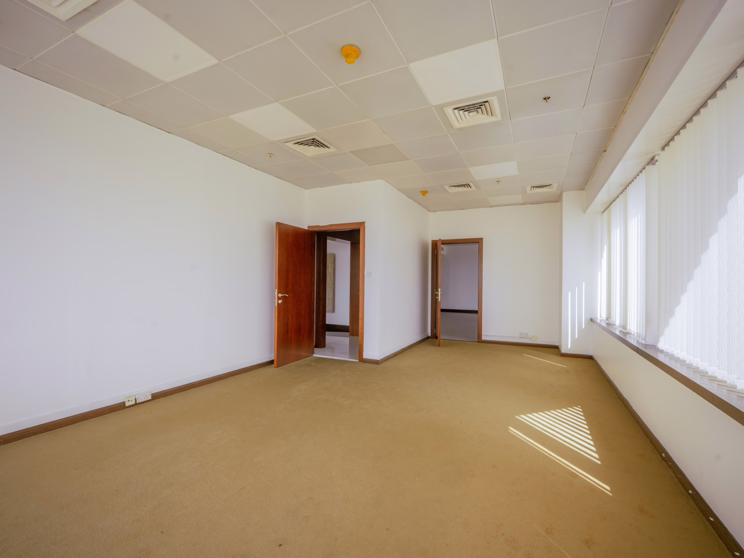 WFR02262-HDR