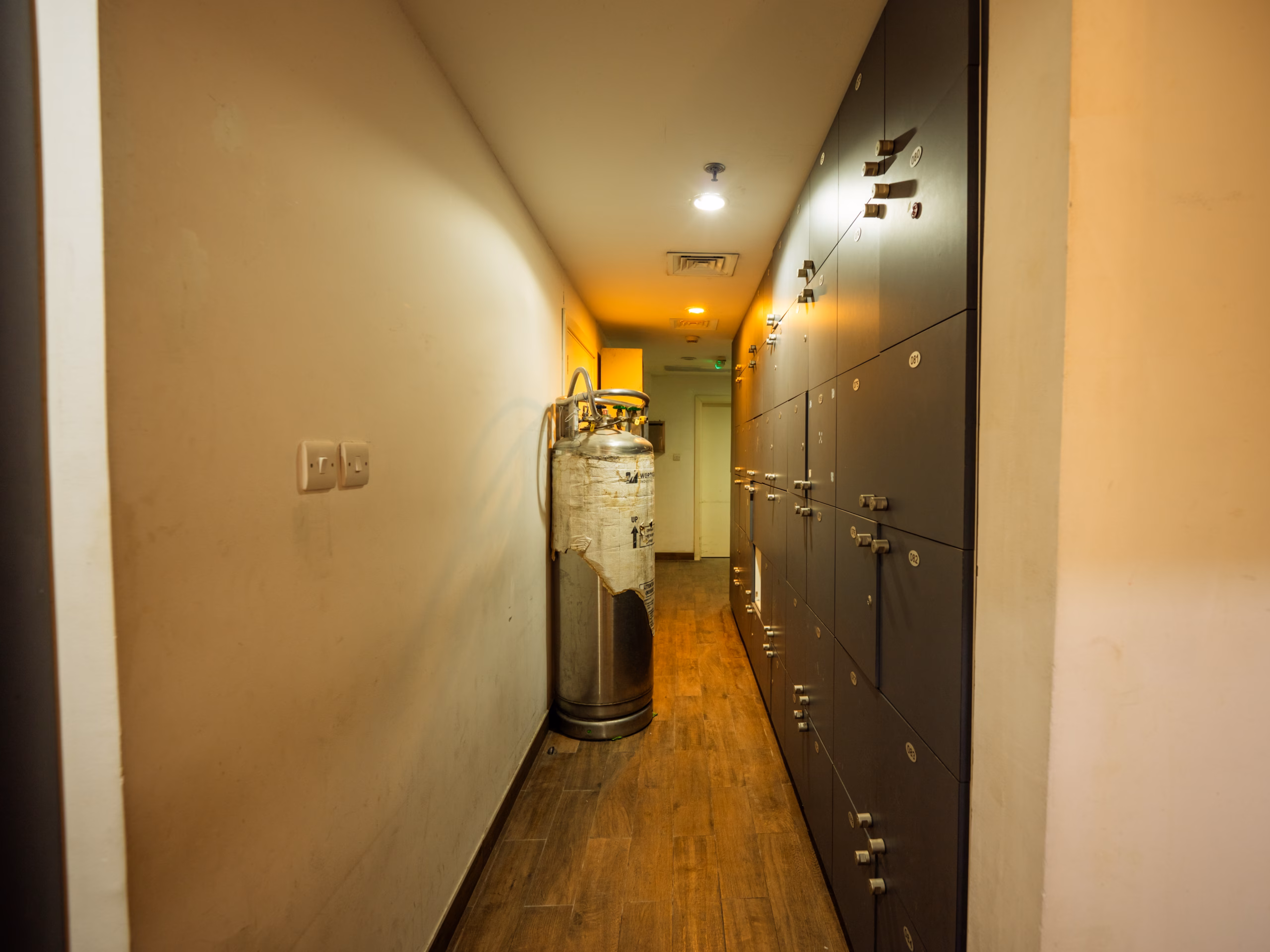 WFR03843-HDR